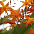 20100805T134016.jpg